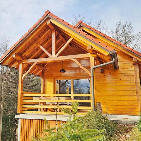 Villa Ica - Hisica V Hribih Kamnik Exterior foto
