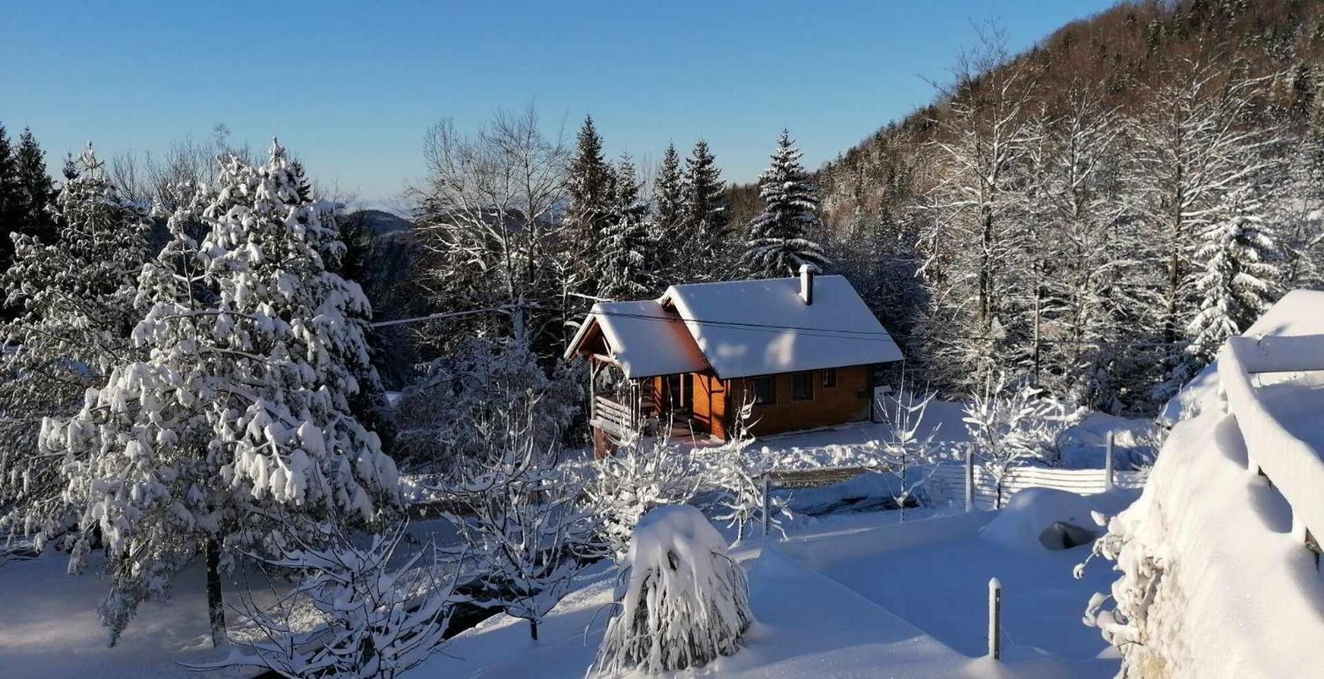 Villa Ica - Hisica V Hribih Kamnik Exterior foto