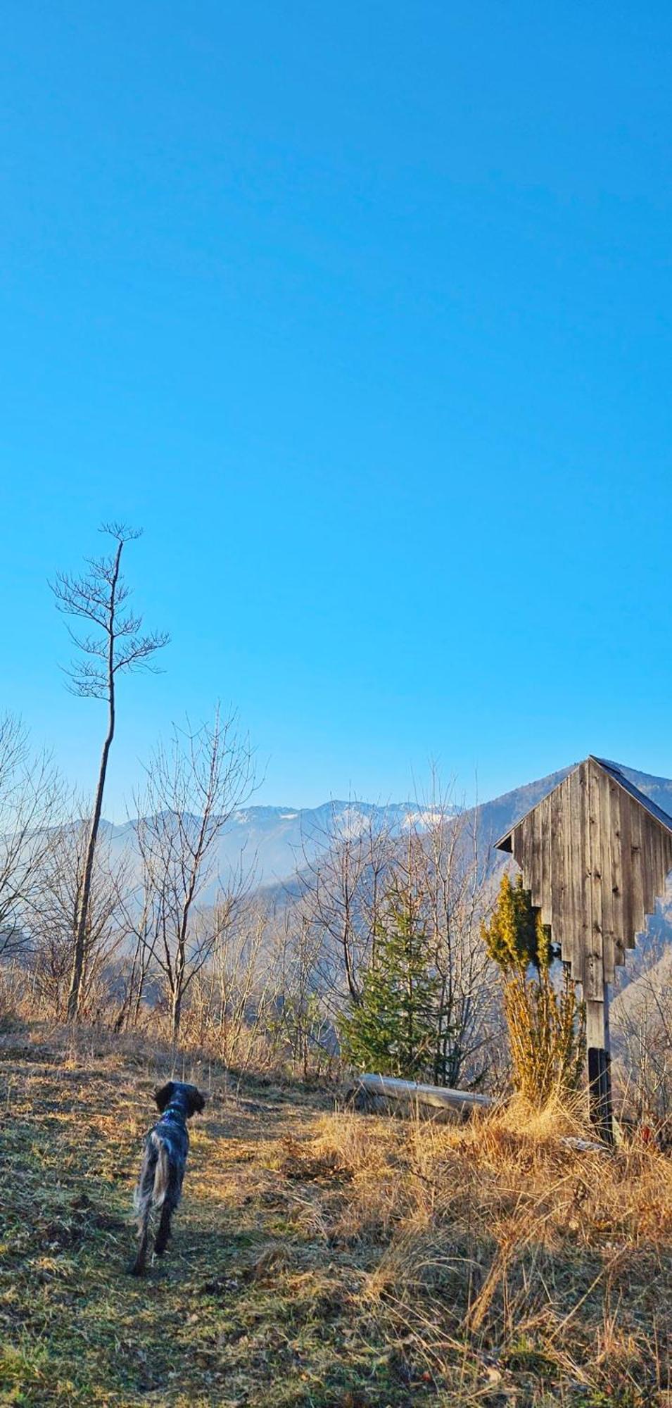 Villa Ica - Hisica V Hribih Kamnik Exterior foto