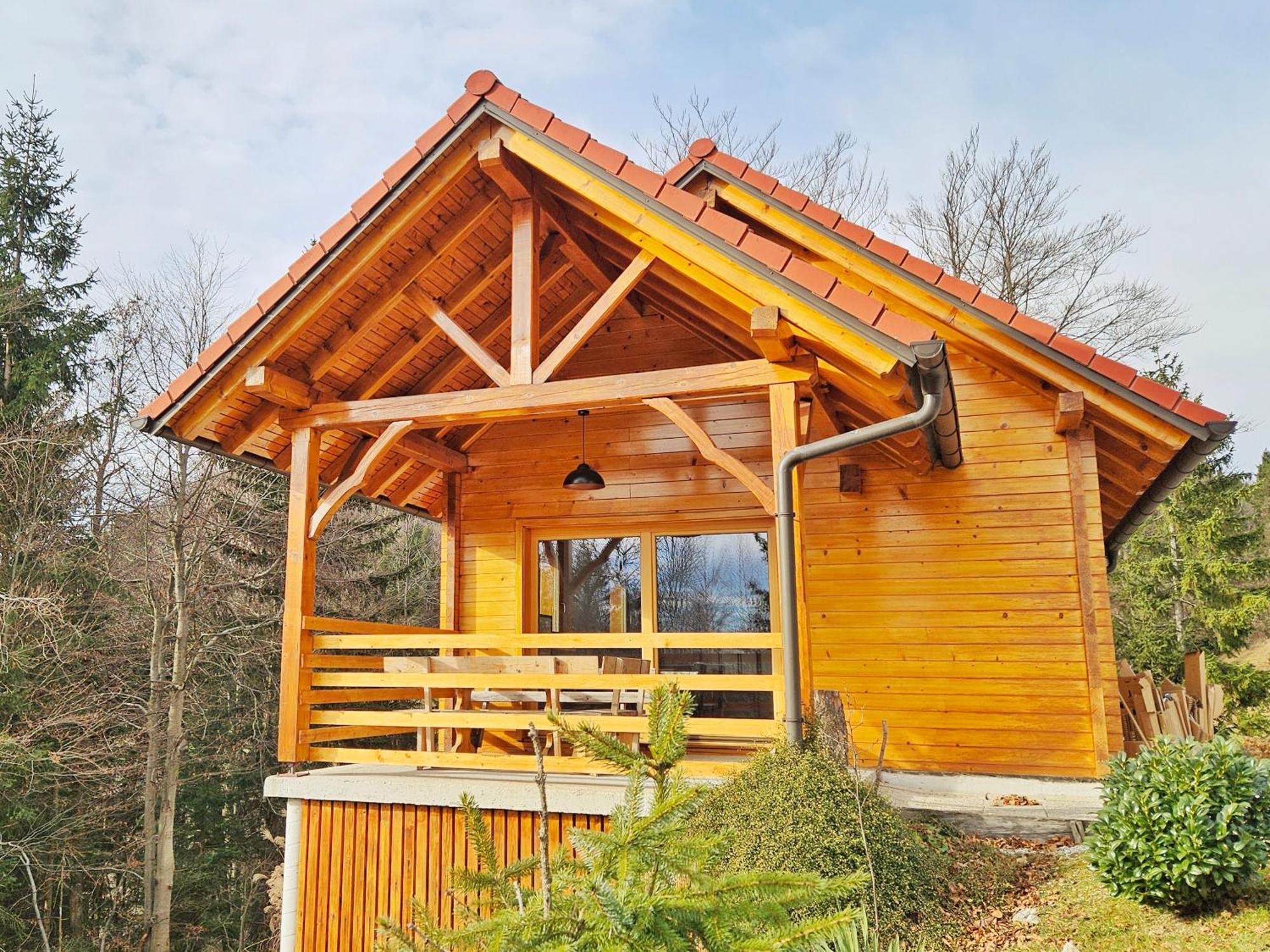 Villa Ica - Hisica V Hribih Kamnik Exterior foto